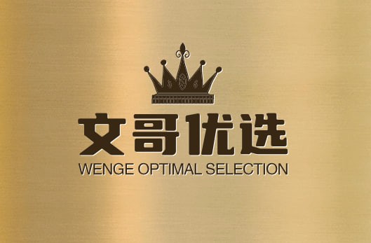 文哥优选